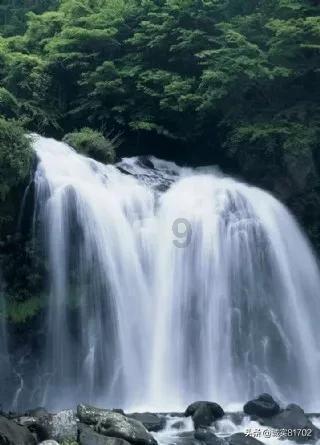 这一功能或将让荣耀独占2个月？友商被压到3月才能上？