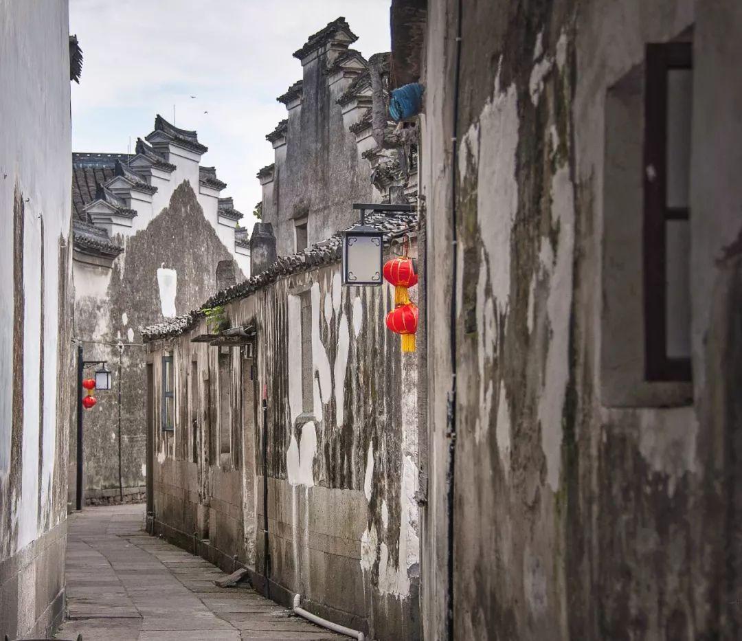 小艾比模仿秀